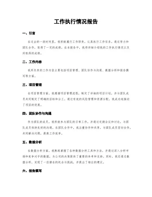 工作执行情况报告