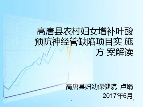 农村孕产妇增补叶酸项目PPT课件