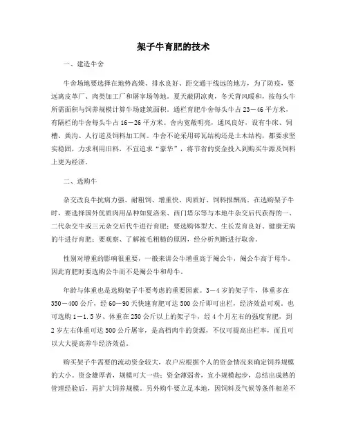 架子牛育肥的技术