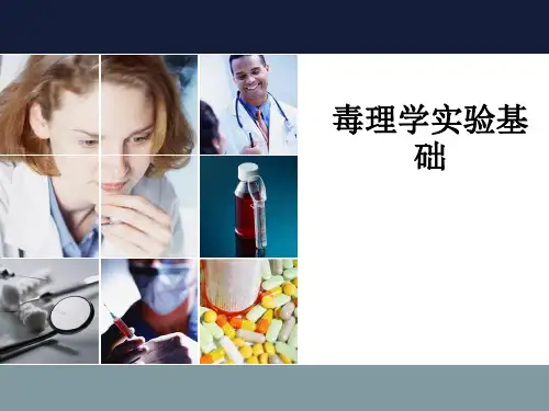 毒理学实验基础ppt课件