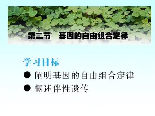 第二节基因的自由组合定律ppt课件
