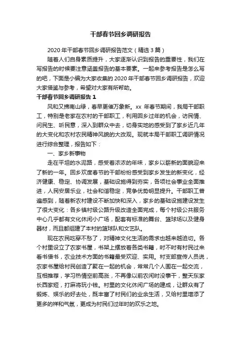 干部春节回乡调研报告