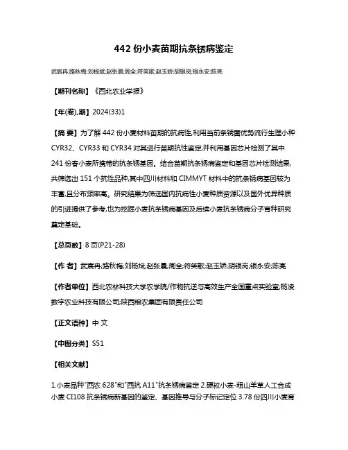 442份小麦苗期抗条锈病鉴定