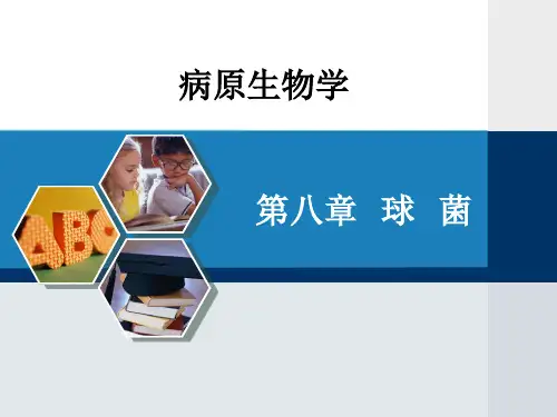病原生物学图文ppt课件教程-第八章--球--菌
