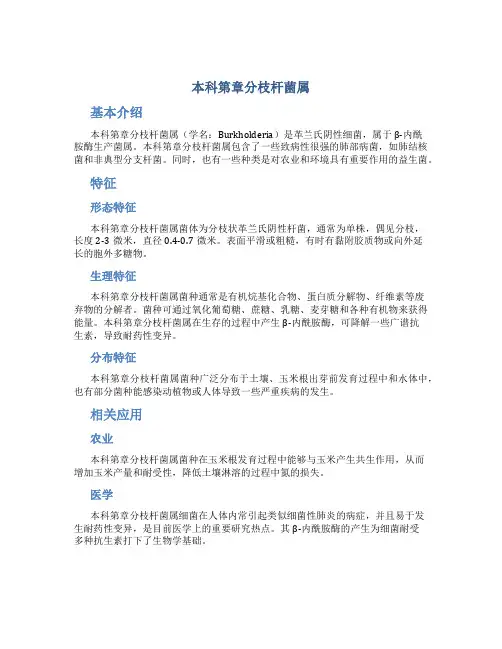 本科第章分枝杆菌属