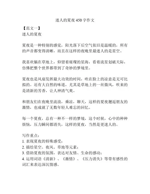 迷人的夏夜450字作文
