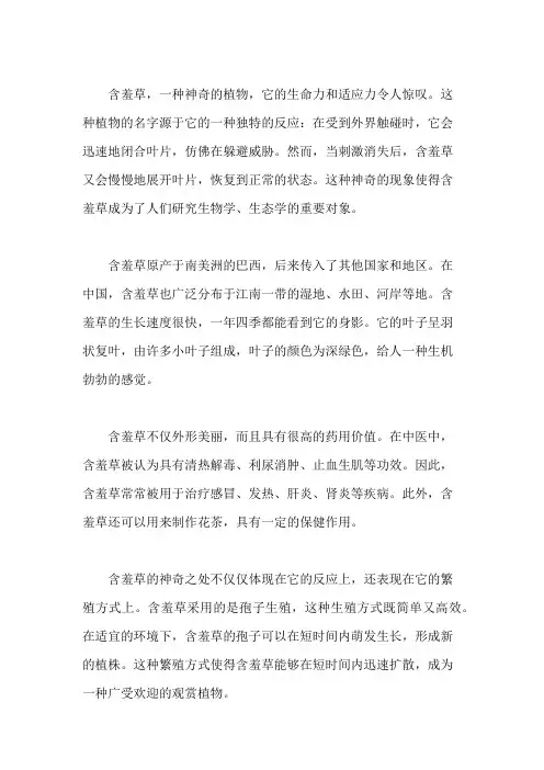 神奇的含羞草作文