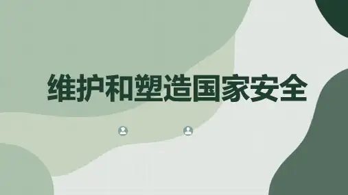 维护和塑造国家安全