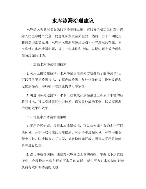 水库渗漏治理建议