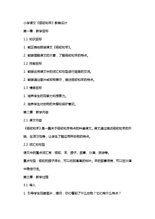 小学课文《骆驼和羊》教案设计