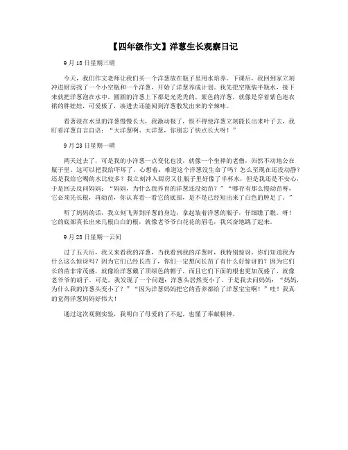 【四年级作文】洋葱生长观察日记