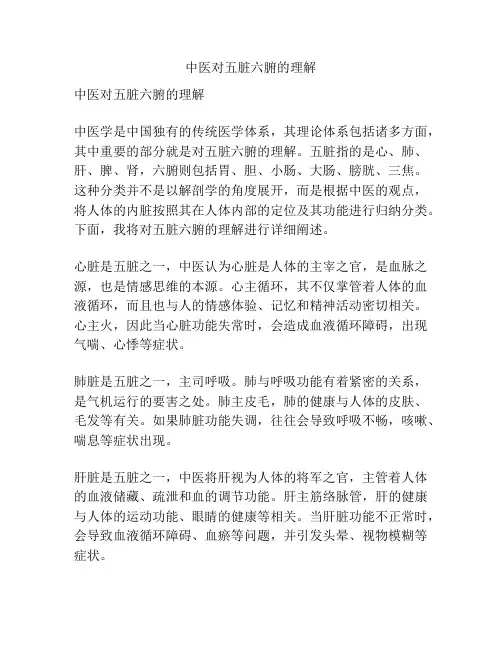 中医对五脏六腑的理解
