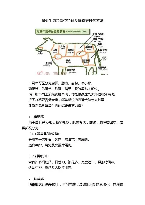解析牛肉各部位特征及适宜烹饪的方法