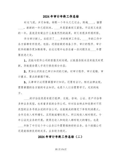 2024年审计年终工作总结（三篇）