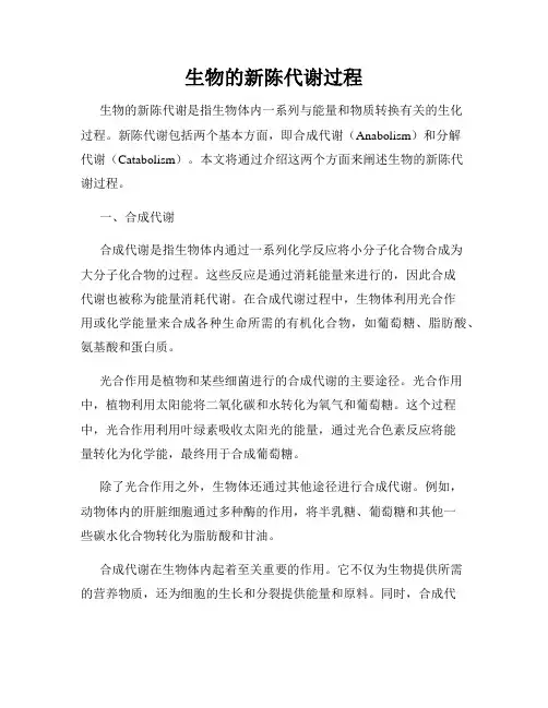 生物的新陈代谢过程