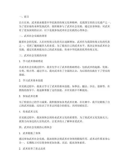 武术社会实践心得体会