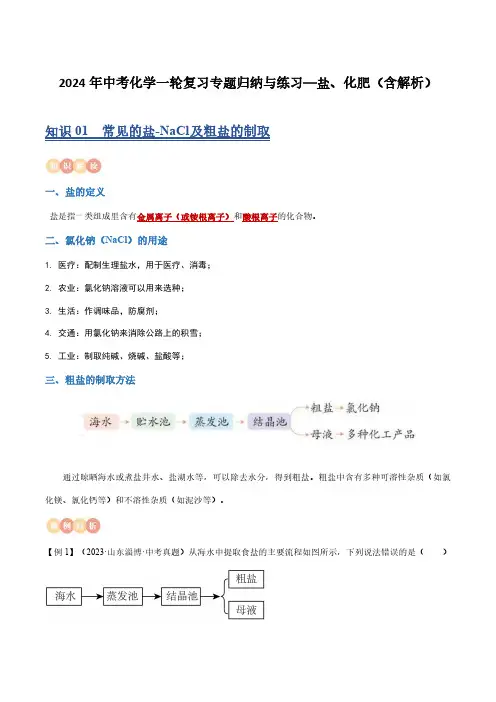 2024年中考化学一轮复习专题归纳与练习—盐、化肥(含解析)
