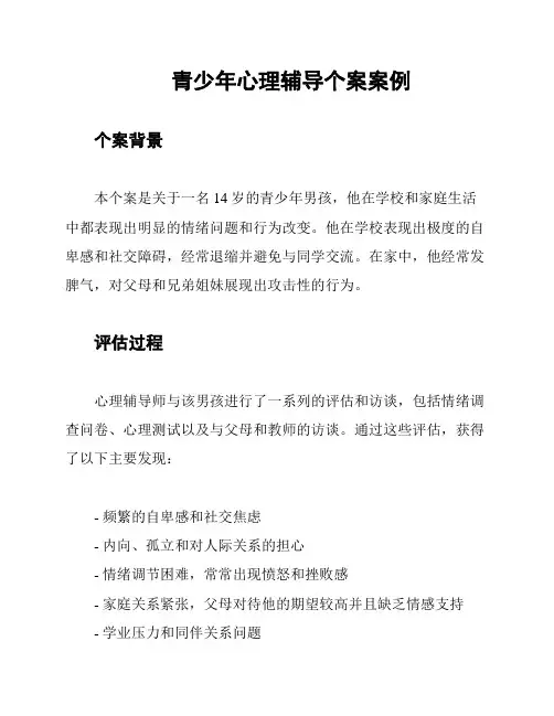 青少年心理辅导个案案例