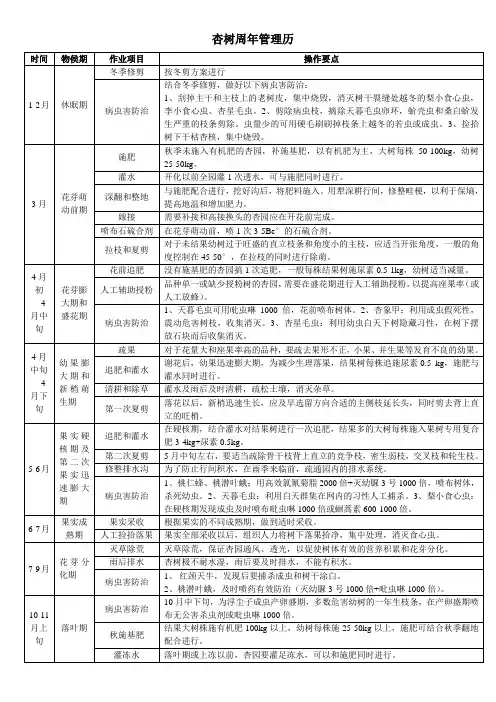 杏树周年管理历