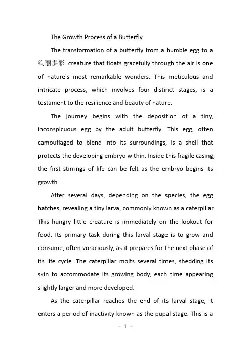 蝴蝶的生长过程英文作文
