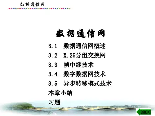 现代通信网络技术课件：数据通信网