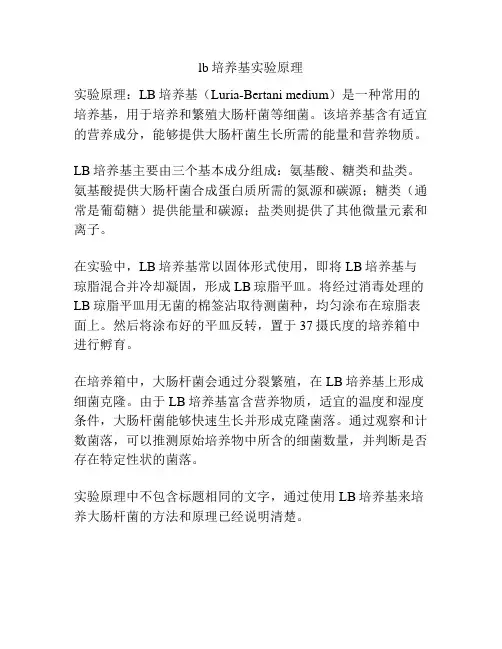 lb培养基实验原理