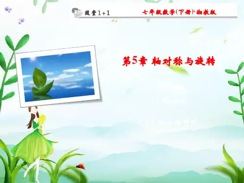 湘教版 七年级数学下册 第5章 轴对称与旋转 课时同步练习+专题提升练习+单元综合检测 课件合集(含答案解析)
