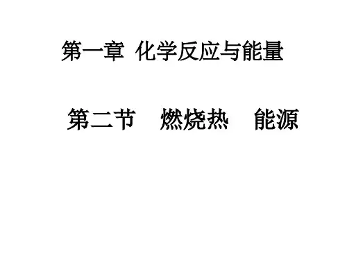 第二节燃烧热能量-完整PPT课件