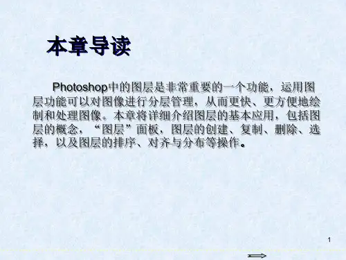 Photoshop图像处理标准教程第9章图层基本应用ppt课件