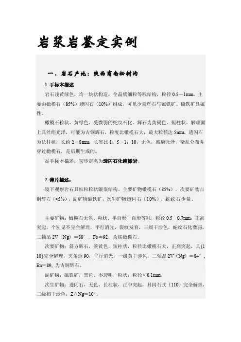 手标本描述[汇总]