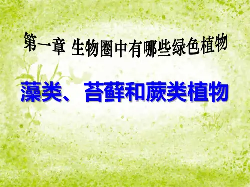 《藻类苔藓和蕨类植物》生物圈中有哪些绿色植物PPT课件7