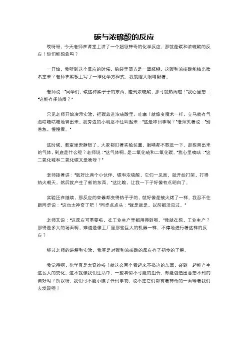 碳与浓硫酸的反应