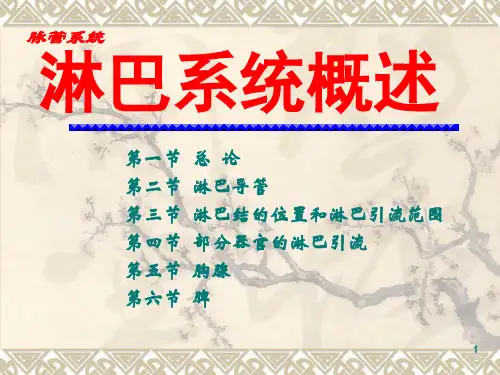 淋巴系统概述