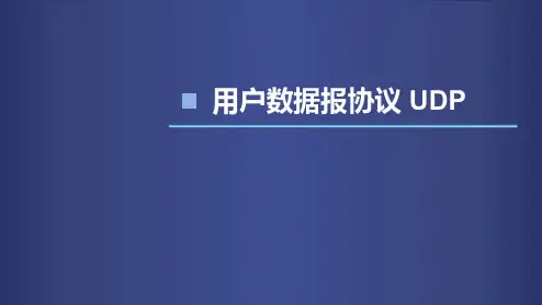 计算机网络UDP