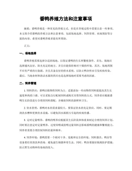 番鸭养殖方法和注意事项