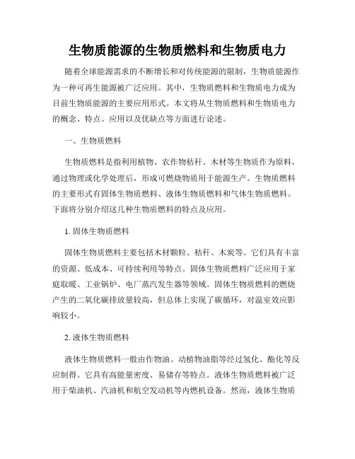生物质能源的生物质燃料和生物质电力