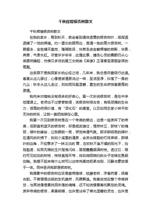 千秋辉煌银杏树散文