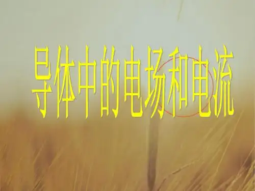 高中物理最新课件-高一物理导体中的电场和电流1 精品