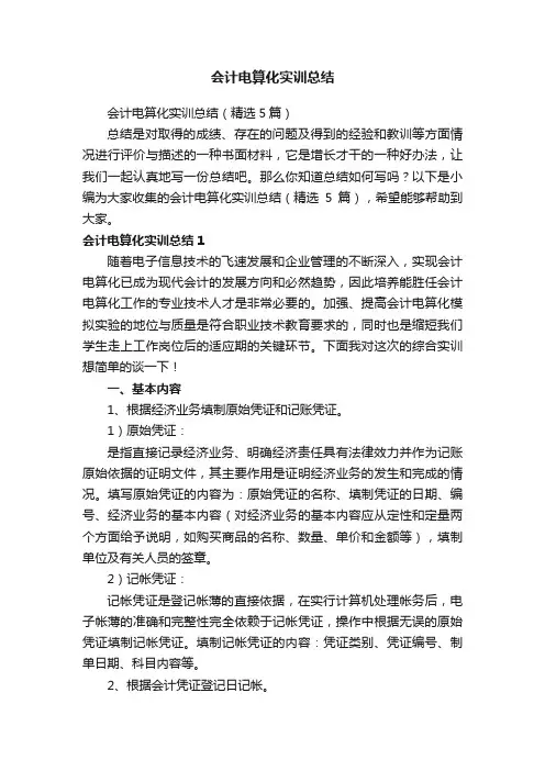 会计电算化实训总结