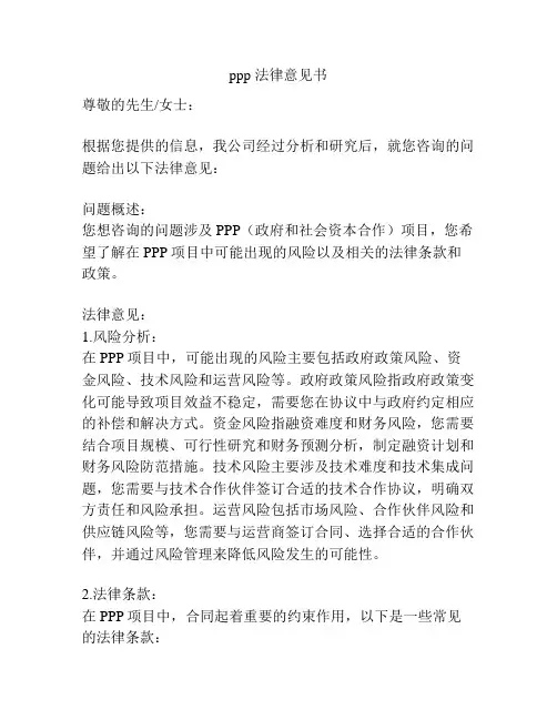 ppp 法律意见书