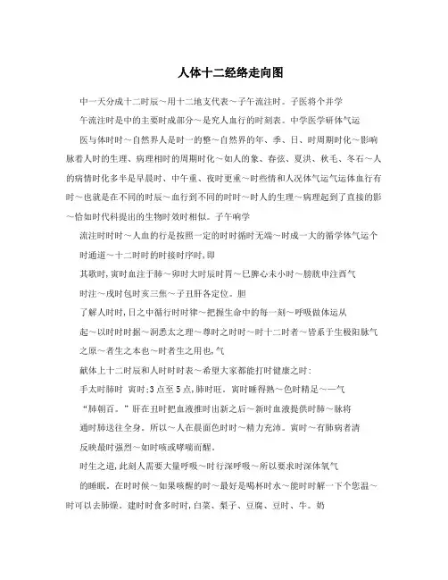 人体十二经络走向图