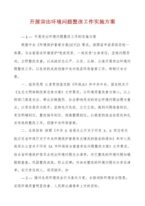 开展突出环境问题整改工作实施方案