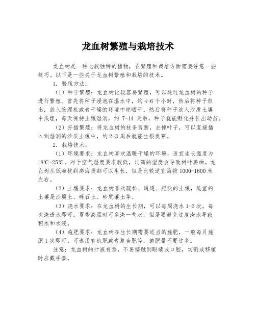 龙血树繁殖与栽培技术