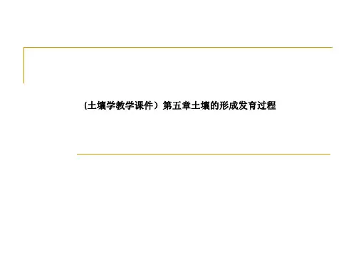 土壤的形成发育过程