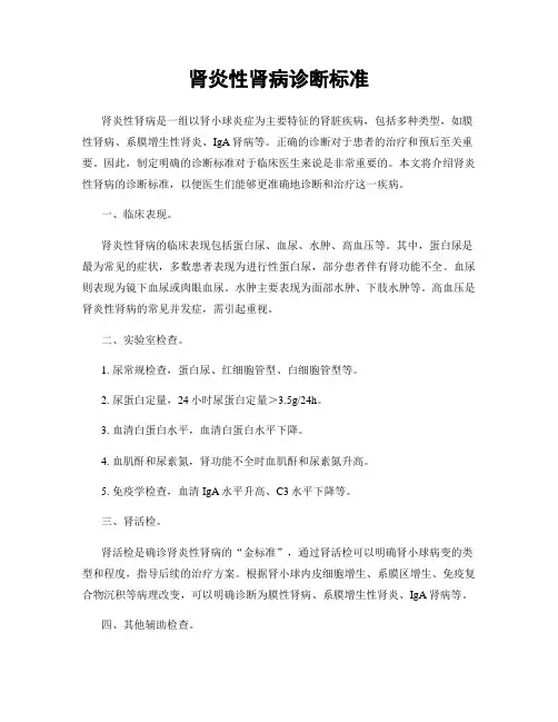肾炎性肾病诊断标准