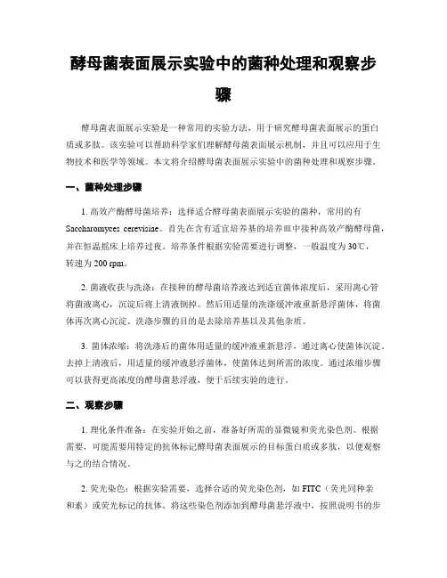 酵母菌表面展示实验中的菌种处理和观察步骤