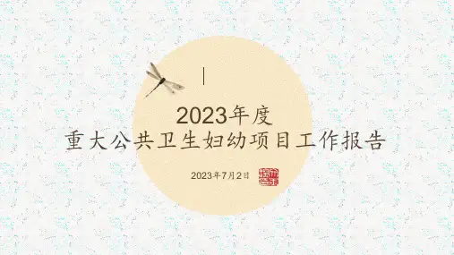 重大公卫妇幼项目工作汇报