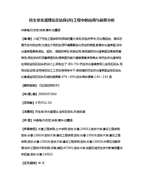 仿生非光滑理论在钻探(井)工程中的应用与前景分析