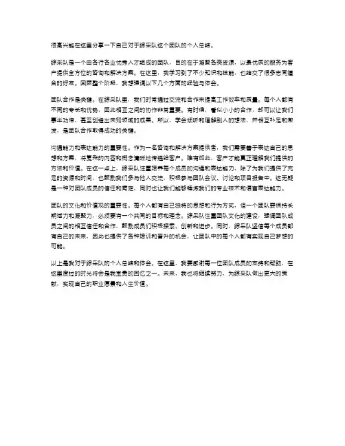 综采队个人总结范文