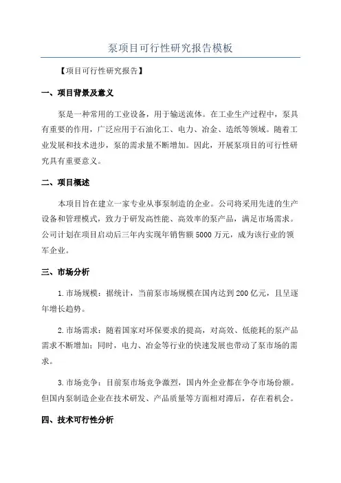 泵项目可行性研究报告模板